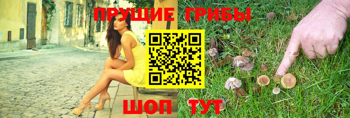 Галлюциногенные грибы GOLDEN TEACHER  Псилоцибиновые грибы мухоморы  Вход с VPN  Архангельск 